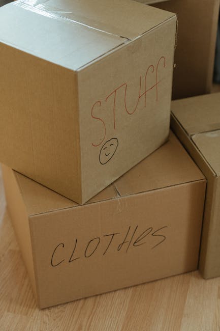 Same day removals London insider tips for urgent moves
